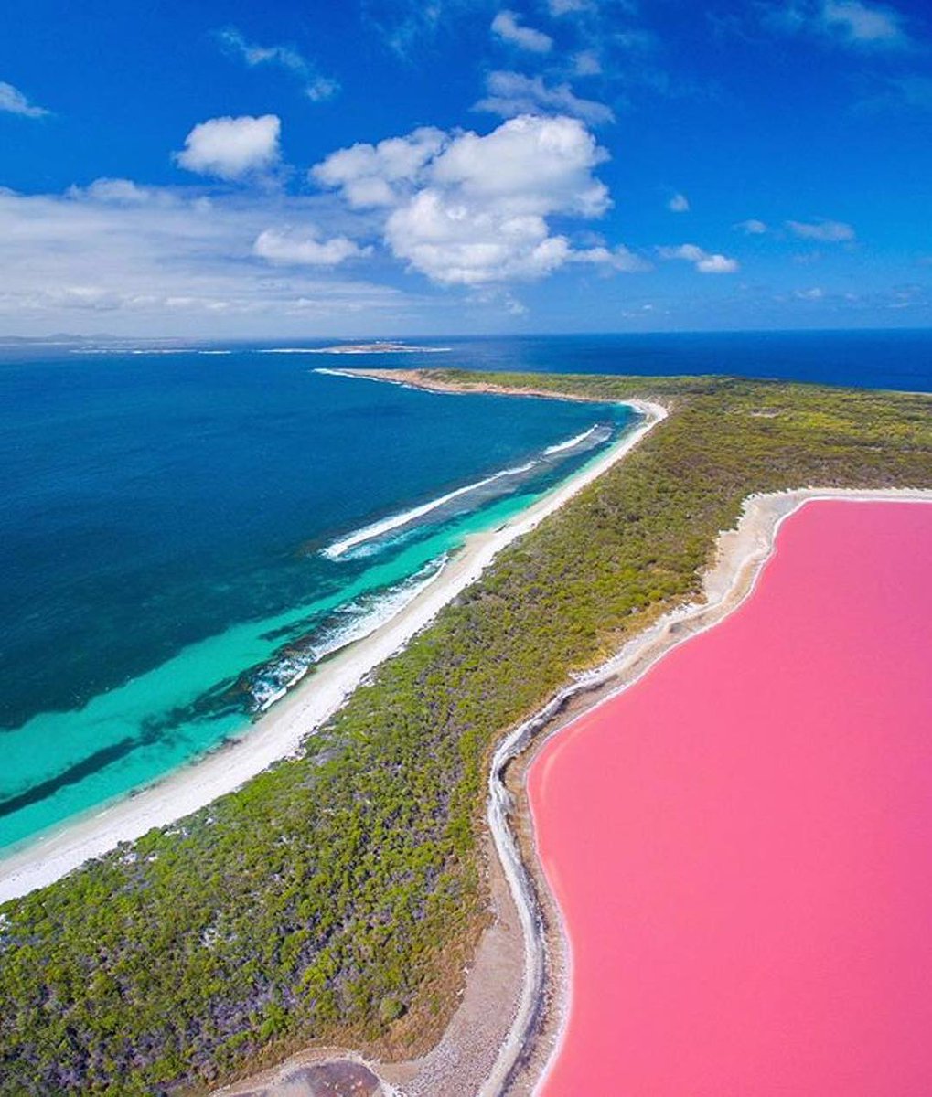 Twitter पर オーストラリア政府観光局 鮮やかなピンクカラーで週明けを元気にスタート 西オーストラリア州ミドル島にあるヒリアー湖の絶景は 上空からの眺めが最高 Photo Jaimenhudson In Westaustralia