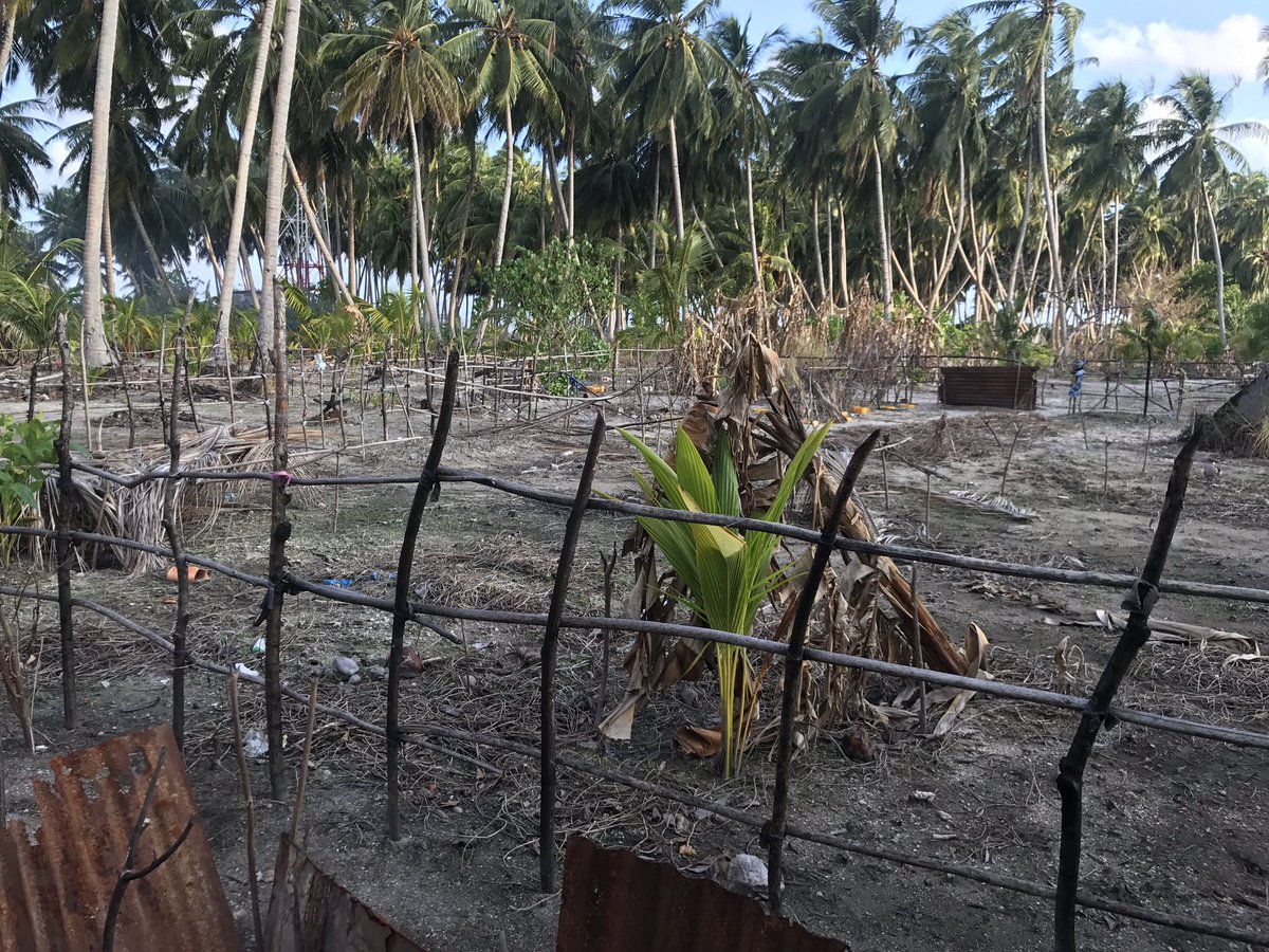 UNDPMaldives's tweet image. ClimateChangeIsReal!#stormsurge #tidalwaves affects water lens,destroys livelihood.#Resilient planning needed #ClimateAction now @nikolajcw