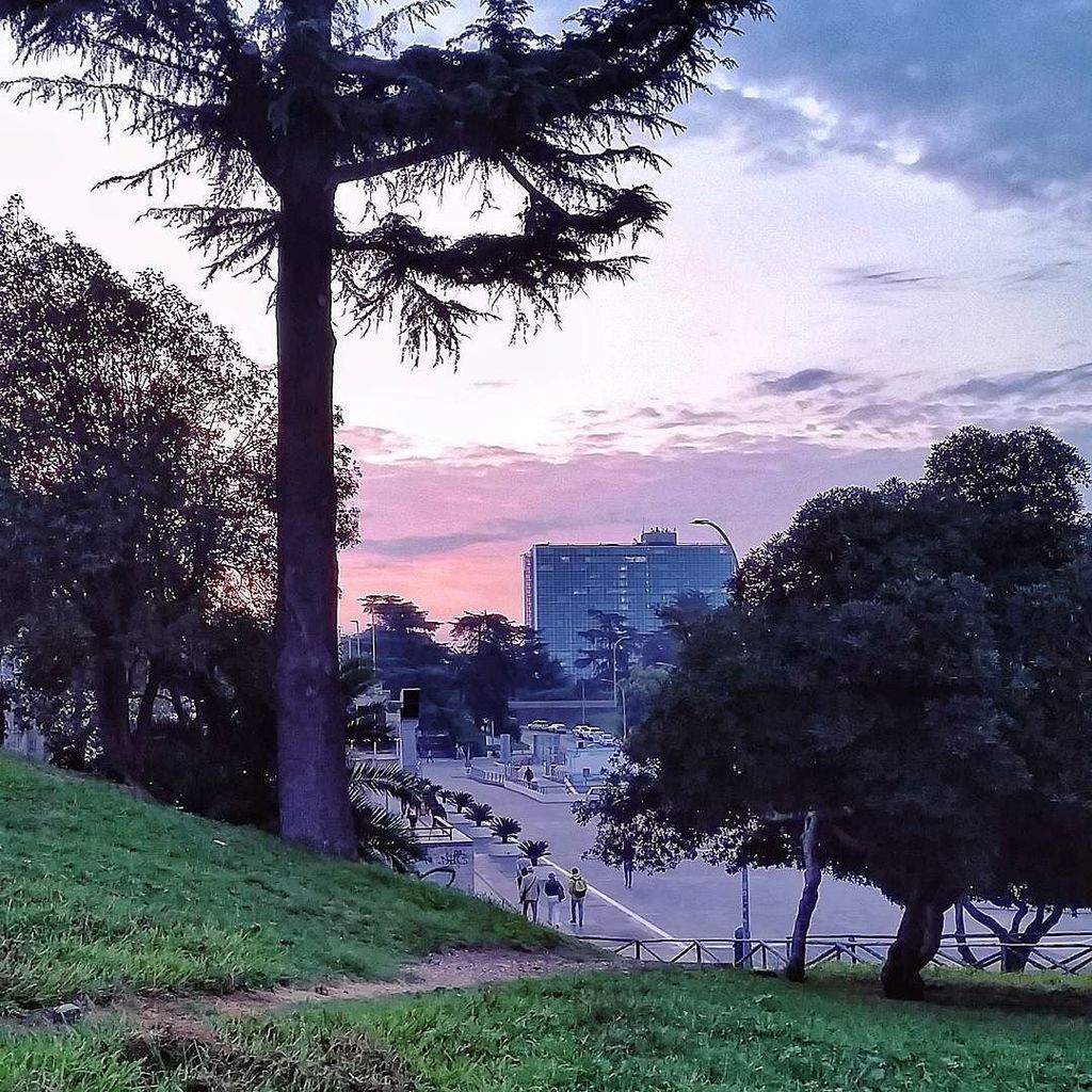 GroovyElisa's tweet photo. L'alba sull'EUR mi dà il buongiorno!
#FromAnotherPointOfView 
__________________________________
#igersroma #igers… https://t.co/3O3ZTyIrOc https://t.co/apya43RJY3