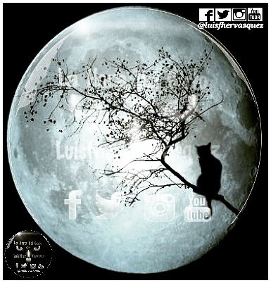 luisfhervasquez's tweet photo. YA EMPEZÓ EL MES DE LAS SUEGR...
PERDON, DE LAS BRUJAS!!
FELIZ INICIO DE SEMANA!!
#pap344 #LaHoraDelGato #radioshows #4f4f # brujas #dj https://t.co/3OJqsJqweV