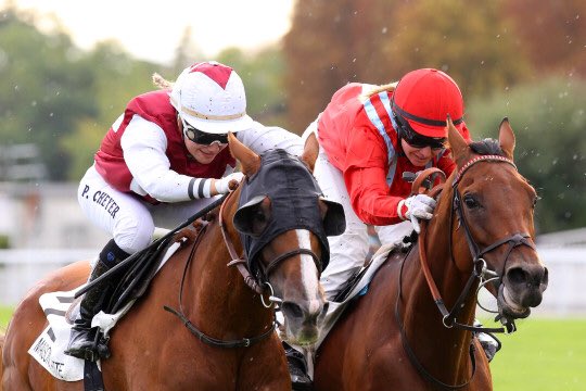 fdufaut's tweet photo. 🏇🏻 4 victoires en 15 jours pour la toute jeune cavalière Perrine Cheyer…un talent qui semble à la hauteur du pedigree 😉 @AprhChantilly 📷 https://t.co/M2QVxHQwbm