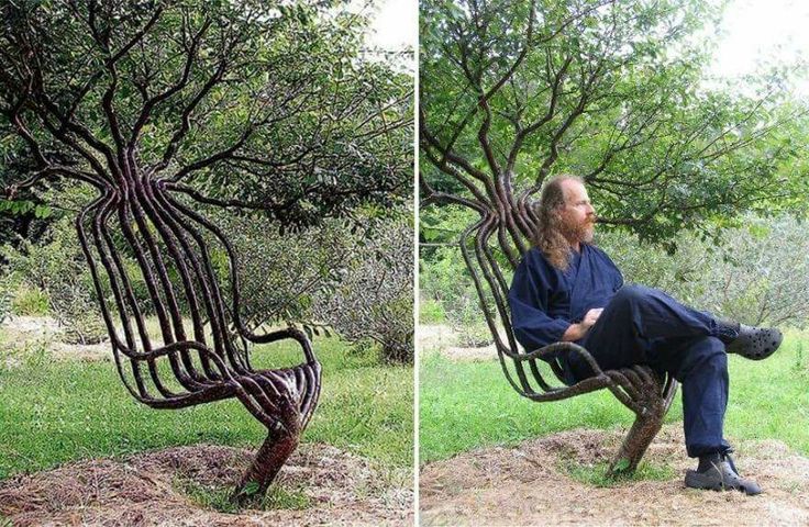 RosehillKC's tweet photo. This #Tree is LITERALLY a #chair? #BRILLIANT! #MadeFromTrees https://t.co/G0rHgNEfbM