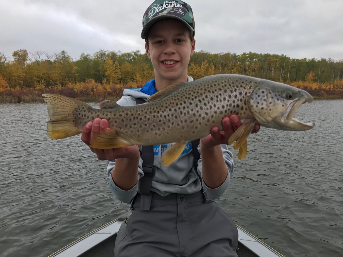 EricRoziere's tweet photo. Master brown🎣🍂 https://t.co/QF5fTZ38Ez