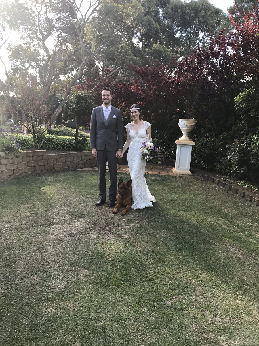 PatsPerth's tweet image. Saturday I had the privilege of assisting Ellie - the dog of honour, to her parents Brittany and Jason's wedding. Congratulations