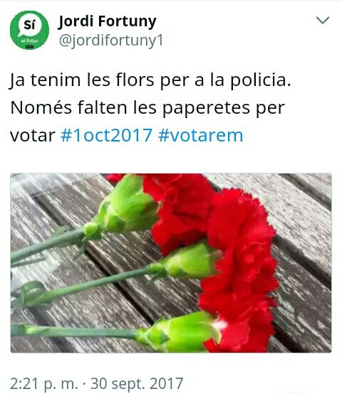 Ver imagen en Twitter Ver imagen en Twitter