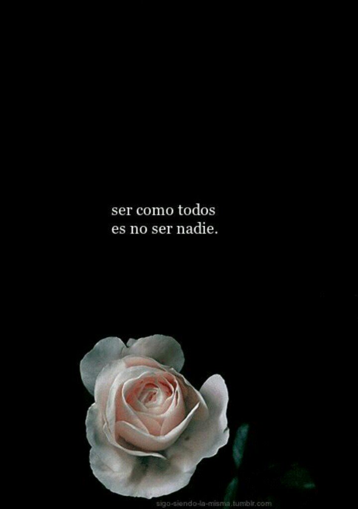 YaneNaneDaDa's tweet photo. Si tan sólo me dejarás amarte, así podría dejarte ir sin remordimientos. https://t.co/7fnmCezlfT