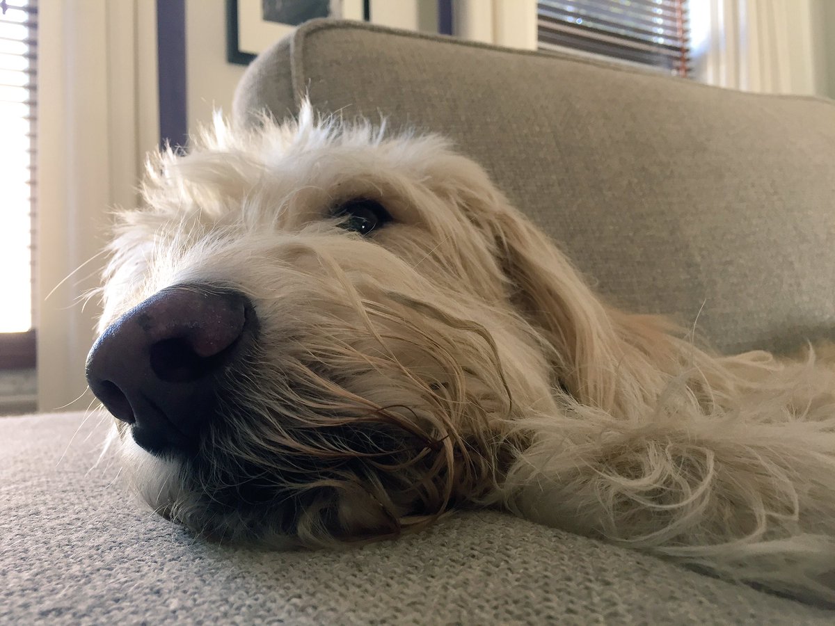 Lazy Sunday, watching the sun fade / Cooler than a dog in the shade