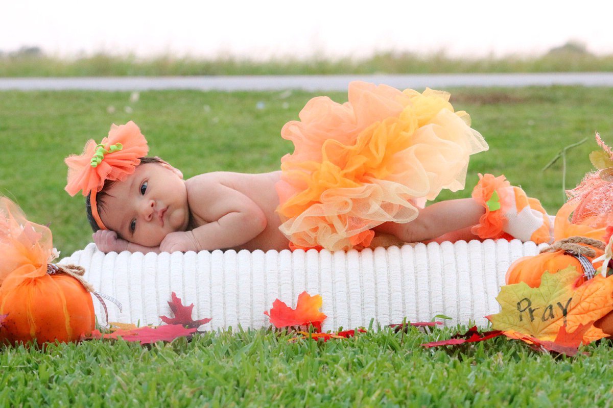 gentry_angel8's tweet photo. My beautiful Rosie🌹#fall #perfect #rufflebutt https://t.co/gHn9If4DT1