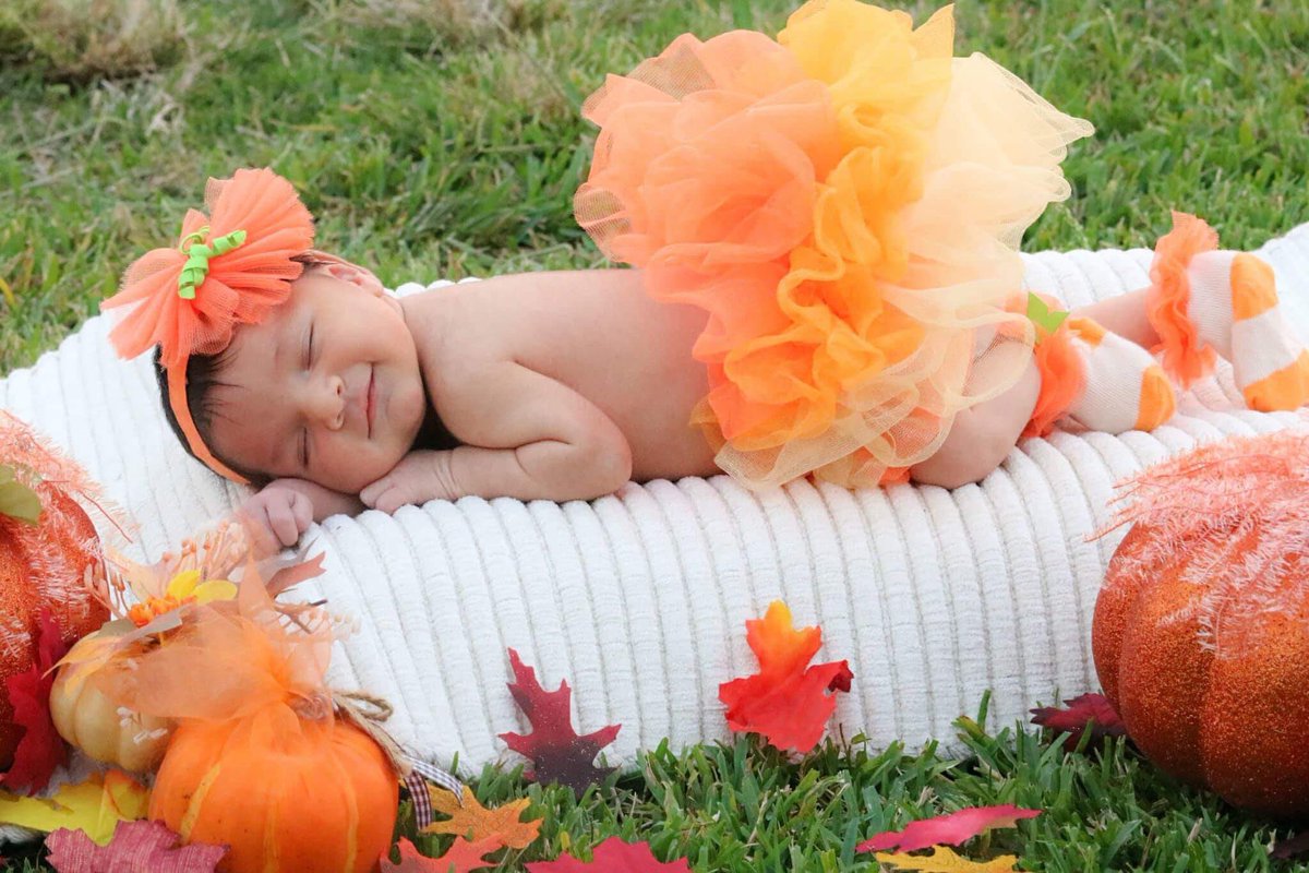 gentry_angel8's tweet photo. My beautiful Rosie🌹#fall #perfect #rufflebutt https://t.co/gHn9If4DT1