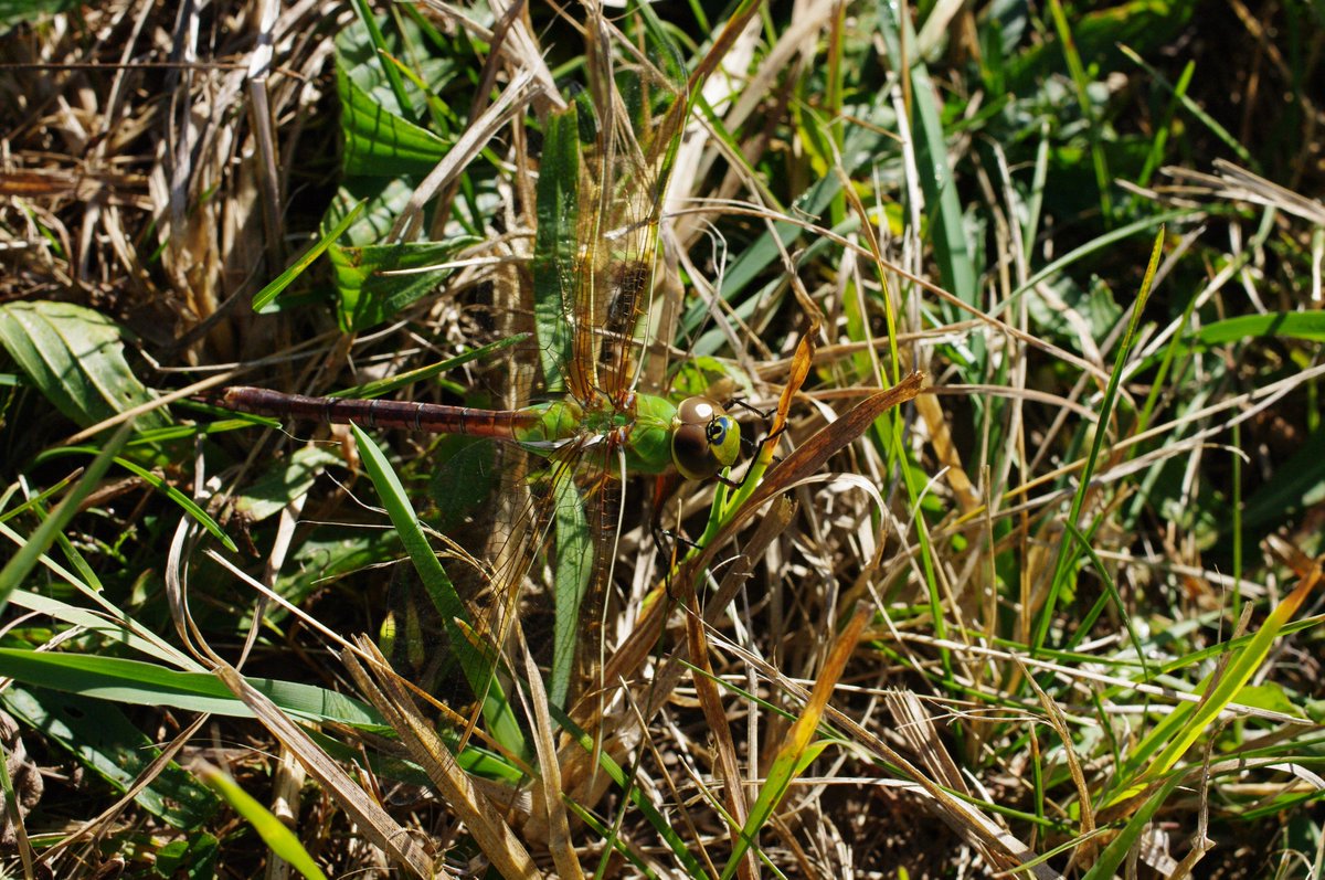 Heather Cray 🌱 tweet media