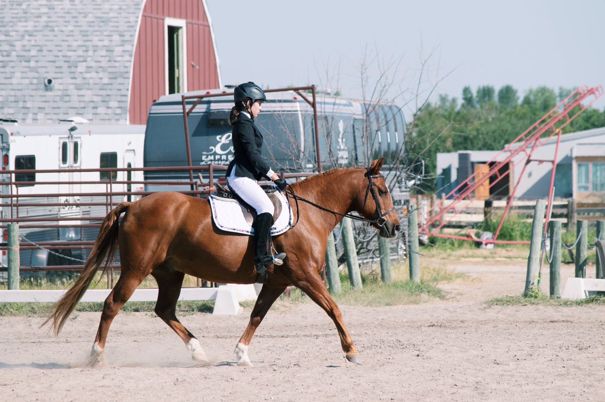 MGstablesWpg's tweet photo. Another shot from the summer - Izzy and Sam dancing through their dressage test ๐ #MGS #Dressage #TrainingLevel #Trot #Winnipeg https://t.co/oqkUCvenX2