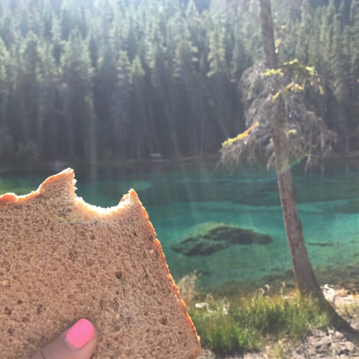 SaltyBlondeBoss's tweet photo. #peanutbutterandjelly @ #grassilake https://t.co/S6Lkv4P0L3