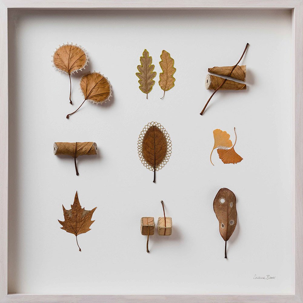 womensart1's tweet photo. Artist Susanna Bauer adds thread and crochet to dried leaves, creating miniature artworks #womensart https://t.co/WOzmYZfbrf