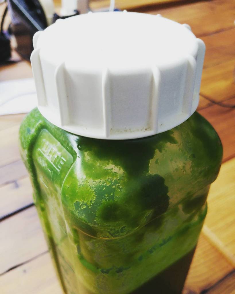 CarlJSorheim's tweet photo. Day 1/5
Back on the juice for @laws3 's wedding. Gotta look snappy in that suit.
#juicediet #juice #backonmybull… https://t.co/0wL1s6RV9D https://t.co/FKJMYsLlSi
