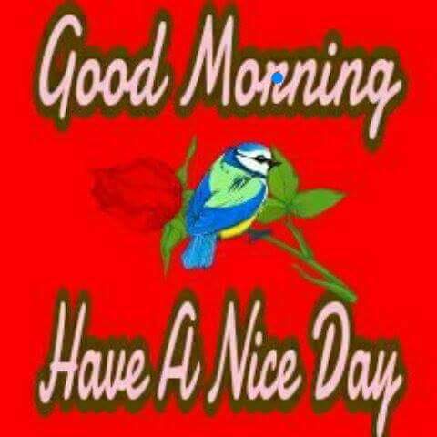 GDalg48's tweet image. Good morning