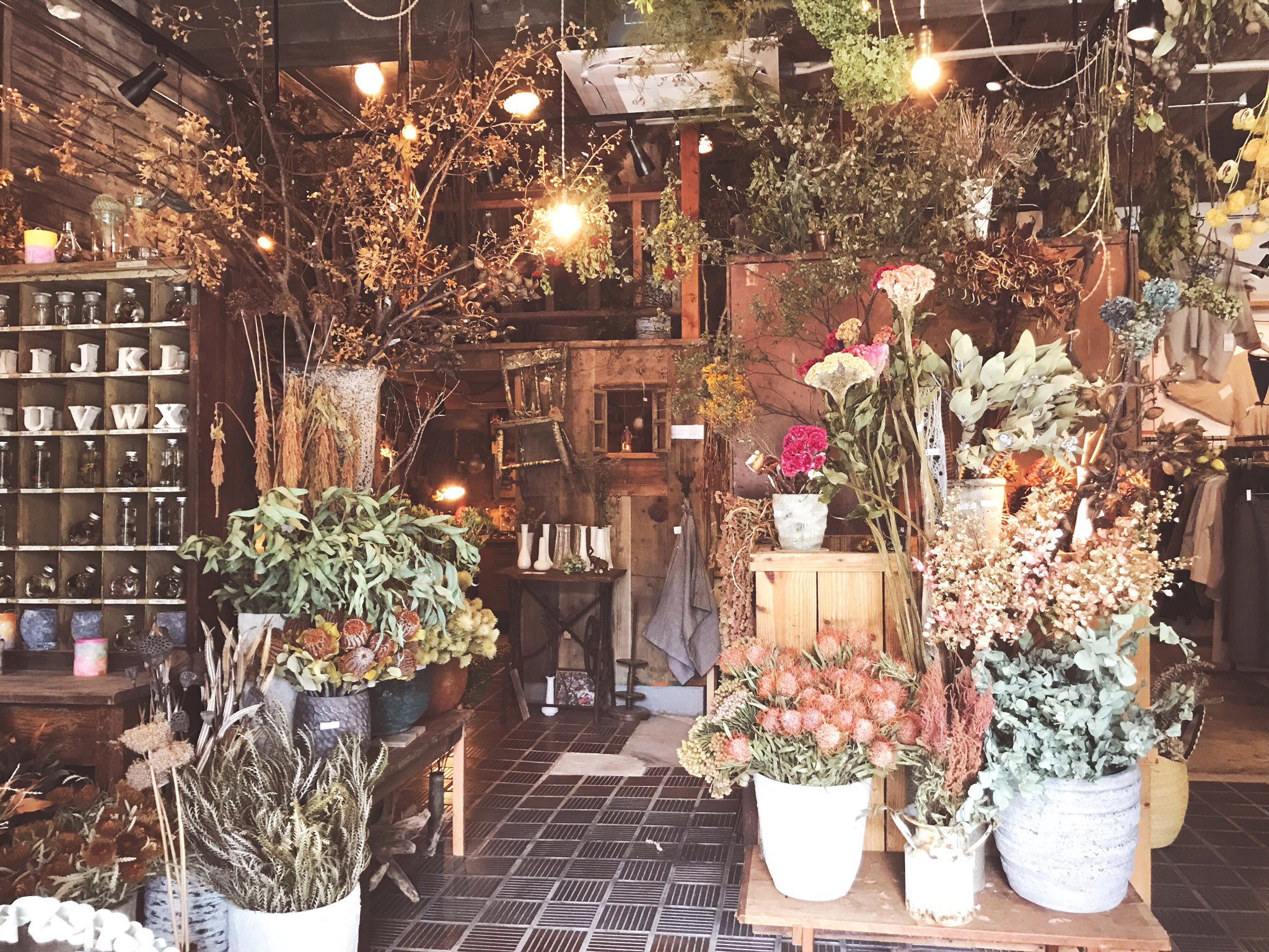 Moyo 名古屋の本山のドライフラワー専門店に来たのだけど最強に最高な場所すぎて写真を撮る手が止まらない T Co Qb7mrvvwhg Twitter