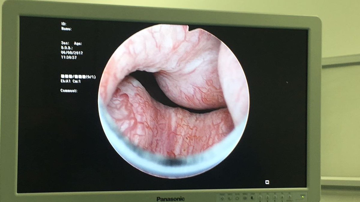 Jamil Bendeck (@emileandre) on Twitter photo 