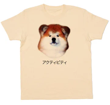 画像 / Picture