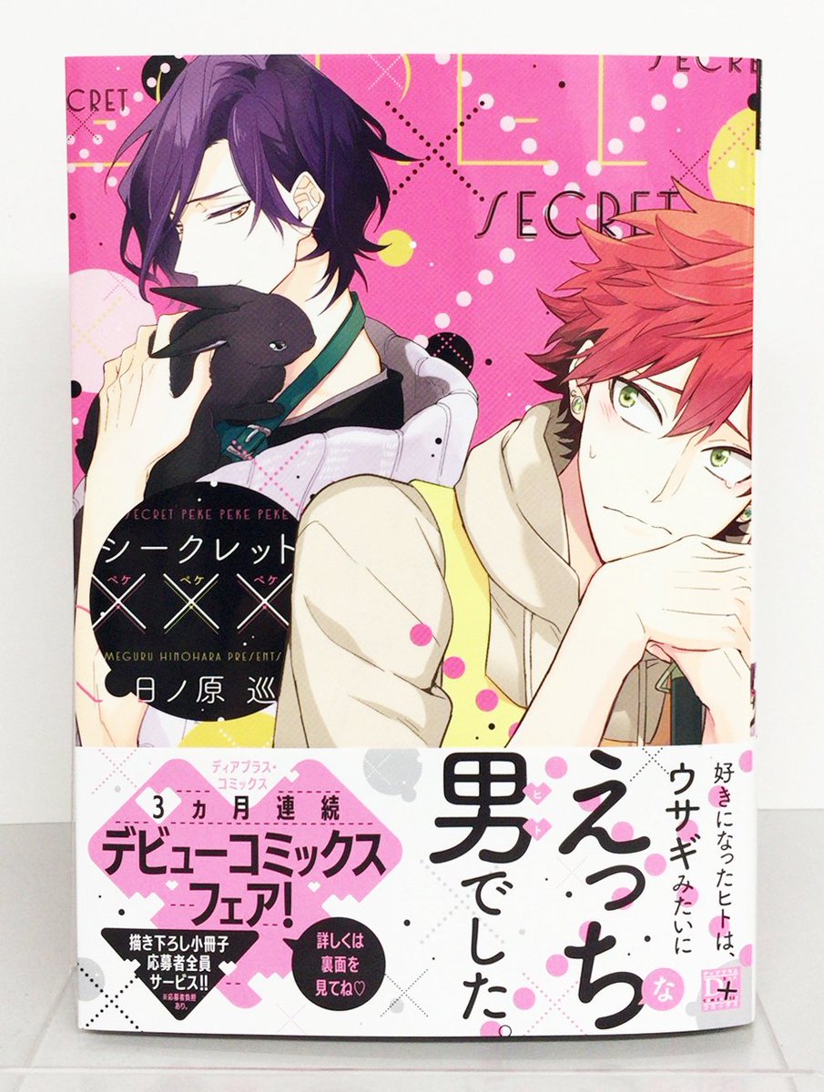 D+Cデビューコミックスフェア応募者全員サービスBOOK 日ノ原巡 奥田枠 全サ小冊子*D+Cデビューコミックスフェア全員サービスBOOK*奥田