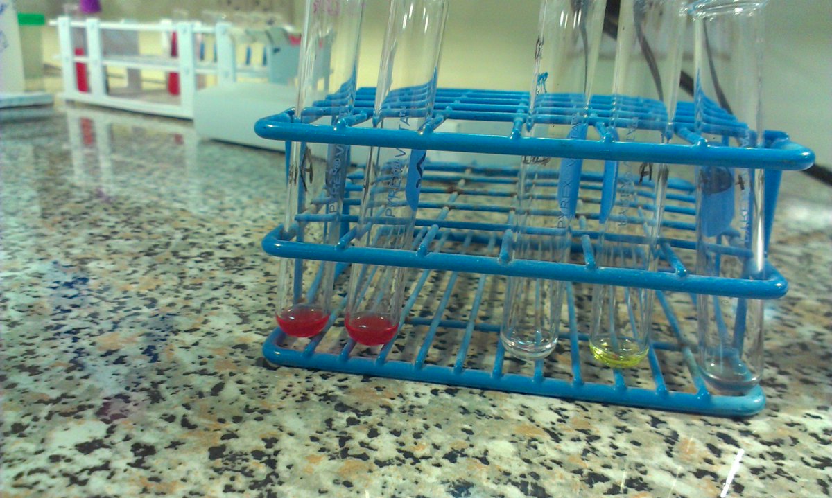 elen_cobb's tweet photo. #med_lab @nelson_botes https://t.co/VZ98IQouOj