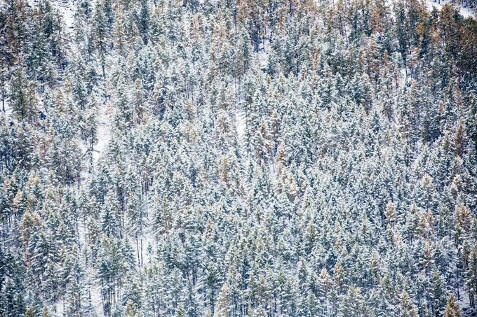 Посмотреть изображение в Твиттере