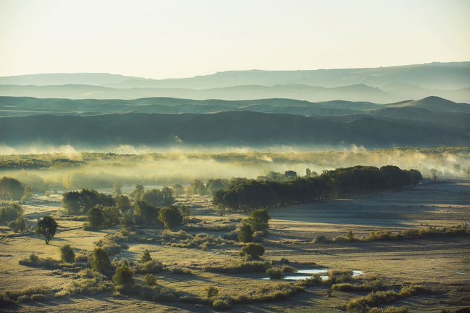 Посмотреть изображение в Твиттере