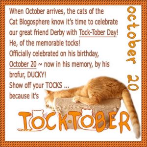 Happy Tocktober, and Monday Blog Links - blog.catblogosphere.com/happy-tocktobe…