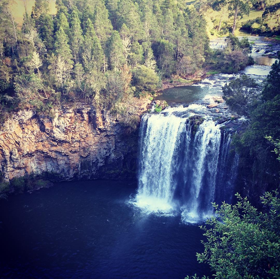 syduncovered's tweet photo. Dangar Falls is one of the many pretty waterfalls along the Waterfall Way in northern New South Wales. #nsw #dangarfalls #waterfallway https://t.co/ZcmqOTbAXO
