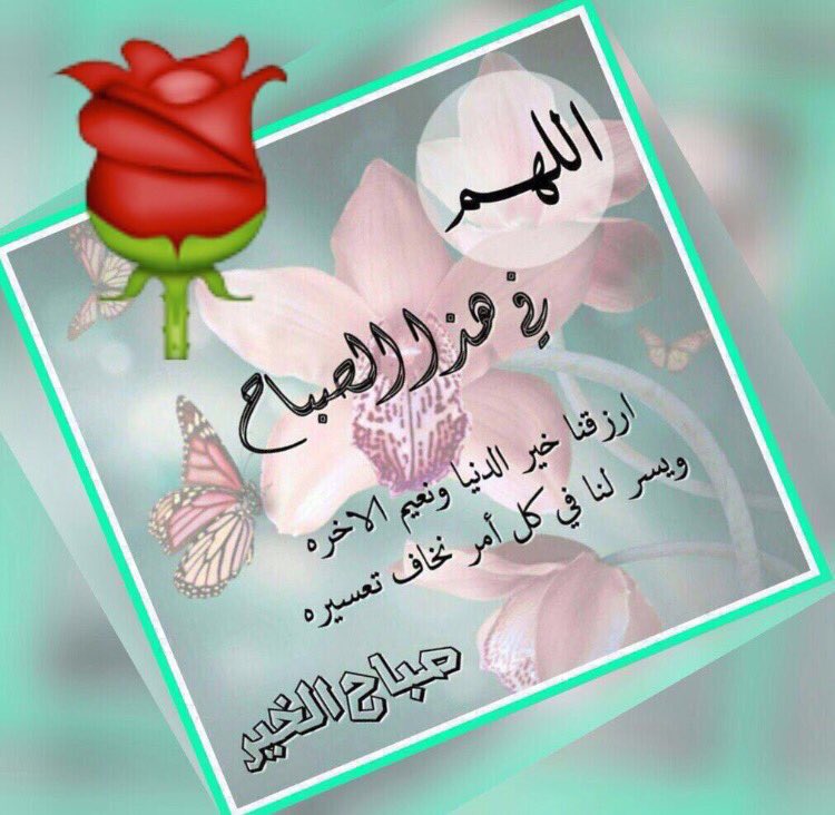 alshamikaah's tweet photo. تنفسوا الصباح حباً ورضى
 فلا شيء أروع من قلوبٍ
 باتت راضية وأصبحت تبتسم فرحاً
 وشكراً لنعم الله عليها
صباح الورد https://t.co/mte2javFP9