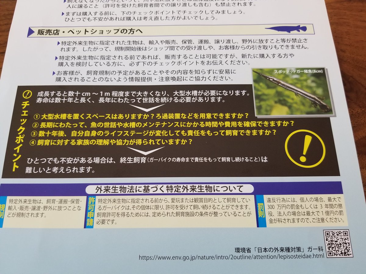 スギヤマッスス ロブスタス ラテス ニロチカスの申請許可の書類が届いて一緒に入ってたパンフレット ヨーロッパオオナマズや ミシピッピニアカミミガメや ナイルパーチ ラテス ニロチカス 同じ ガー全部とか 知らない所で規制掛かっているのもある スギヤマッスス ロブスタス ラテス ニロチカスの申請許可の書類が届いて一緒に入ってたパンフレット ヨーロッパオオナマズや ミシピッピニアカミミガメや ナイルパーチ ラテス ニロチカス 同じ ガー全部とか 知らない所で規制掛かっているのもある