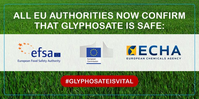All EU Authorities confirm that glyphosate is safe <a href="/EFSA_EU/">EFSA</a> <a href="/EU_Commission/">European Commission</a> <a href="/EU_ECHA/">European Chemicals Agency - ECHA 🇪🇺</a> #glyphosateisvital