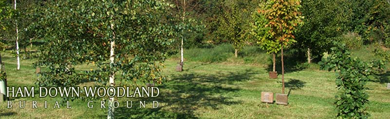 ndccharity's tweet photo. To find your local #WoodlandBurial Ground contact: @ndccharity https://t.co/IanH59Eg1W #ANBGmember #greenburial #treeburial #NaturalBurial https://t.co/RpTXG4qcwD