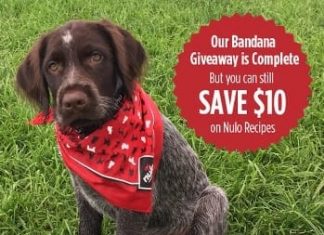 freebiesjoy's tweet photo. $10 off on Dog and Cat Recipes (Coupon)
#petfood #pets #dogfood #catfood #petfreebies #freebies #coupons #freestuff 

https://t.co/zP1aHxRhz0 https://t.co/R3XcWrKv6l