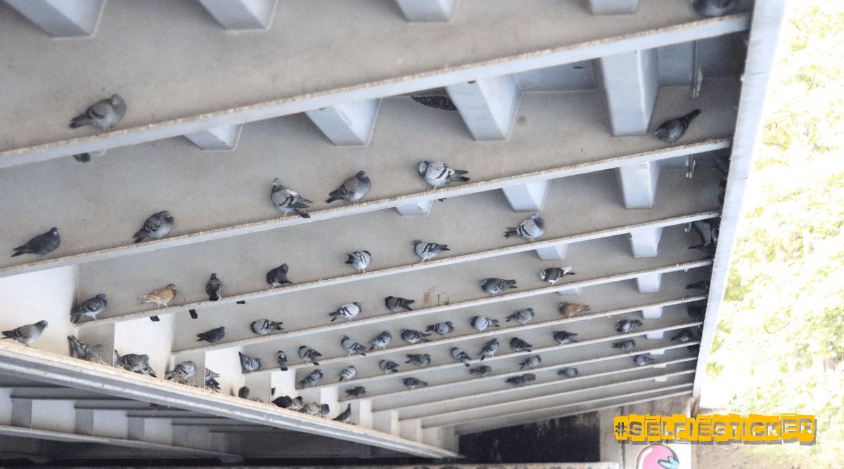 ❗️Tipp❗️Tipp❗️Tipp❗️
Finde den letzten Spot und gewinne! 

#selfiesticker