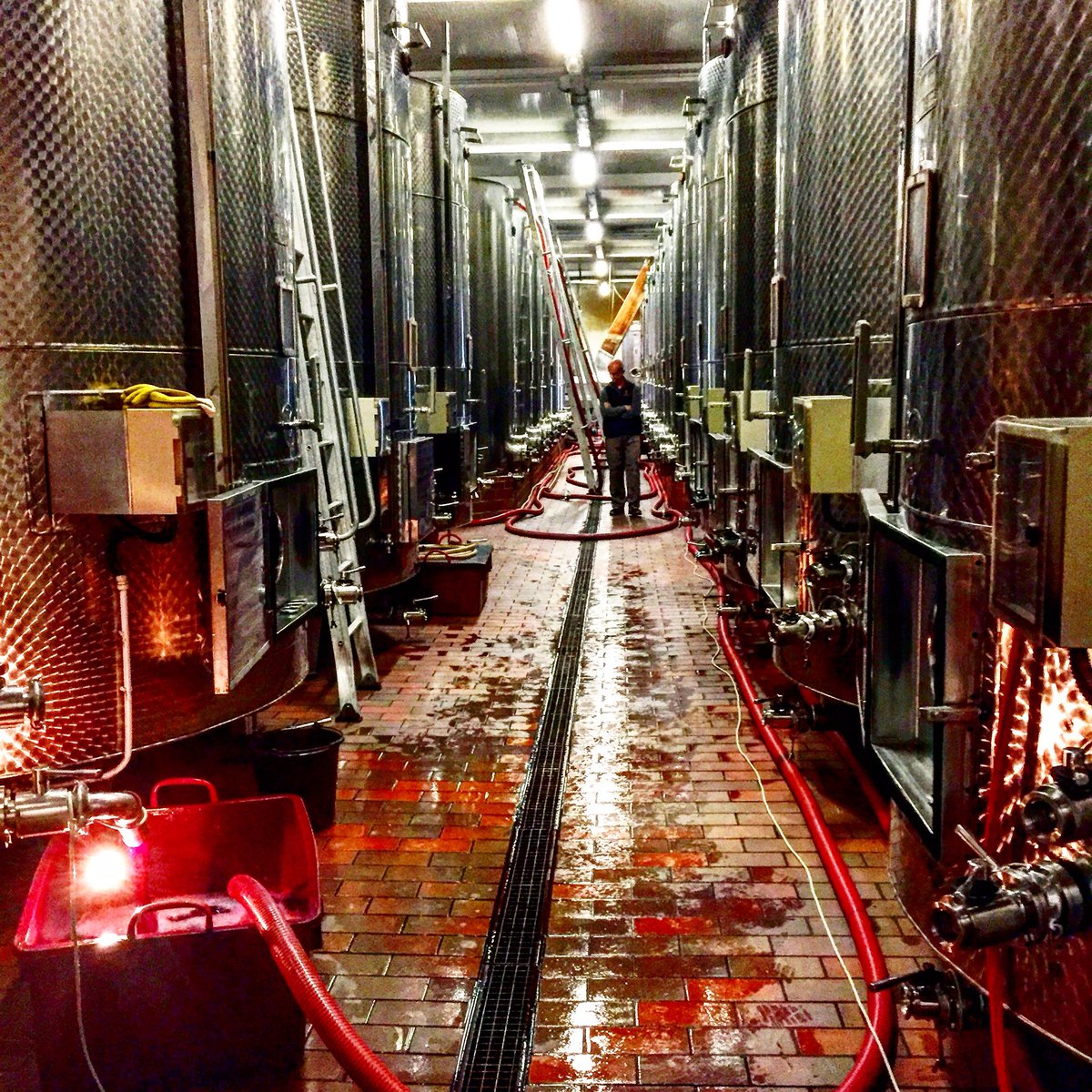 Konobella_it's tweet photo. Such a wonderful scent!
#marchesidibarolo #vinery #wineproduction #sommelier #winetasting #wineblog #винныйблог #сомелье https://t.co/CfaUzRoXcr