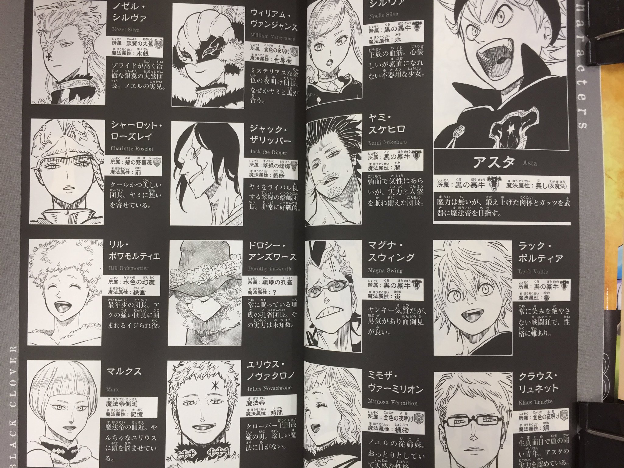 ブラッククローバー 1-19巻セット＋暴牛の書＋騎士団の書 ブラッククローバー 1-19巻セット＋暴牛の書＋騎士団の書