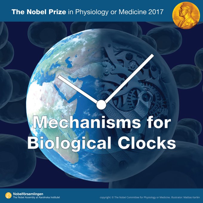 Посмотреть изображение в Твиттере Посмотреть изображение в Твиттере