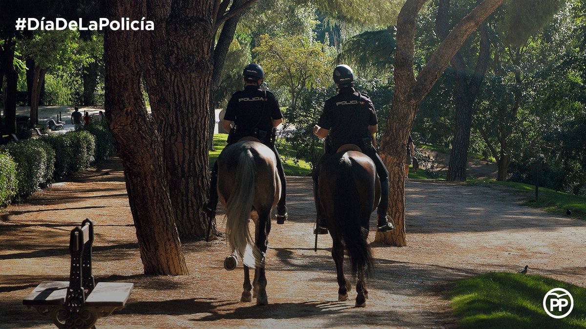 ppopular's tweet photo. Gracias @policia por defender la legalidad y velar por nuestra seguridad y libertad #DíaDeLaPolicía👮‍♀️👮 https://t.co/8Y3ueY7BBh