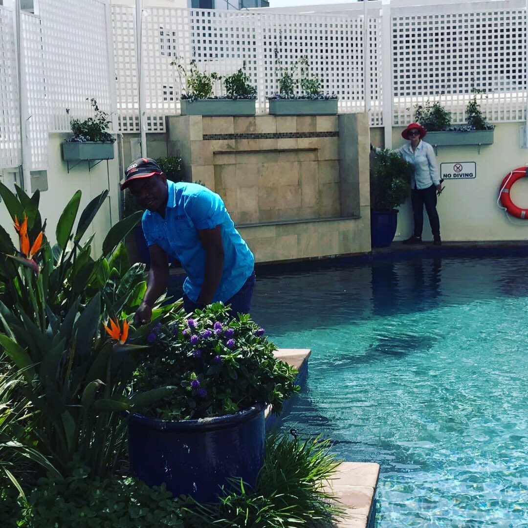 TheBantryBay1's tweet image. Getting into the Spring of things! #happymonday #springpruning #landscaping #bantrybaysuitehotel #bantrybay