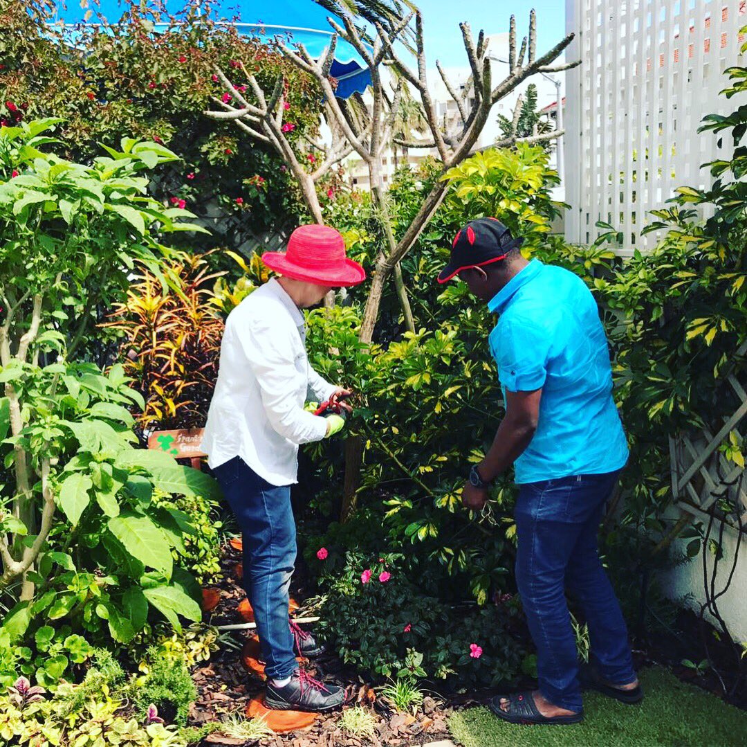 TheBantryBay1's tweet image. Getting into the Spring of things! #happymonday #springpruning #landscaping #bantrybaysuitehotel #bantrybay