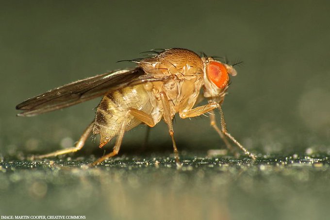 View image on Twitter View image on Twitter