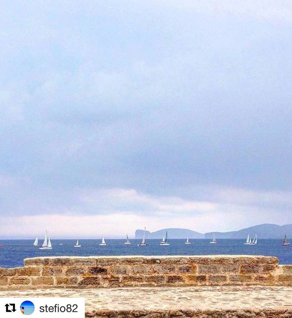 sardegnarubata's tweet photo. Orizzonti... ⛵️ #sardegna #sardinia #sardegnageographic #sardegnaofficial #sardiniamylove #instasardegna #instaita… https://t.co/ZLUlm1jjgv https://t.co/ZH3y1JXYHm