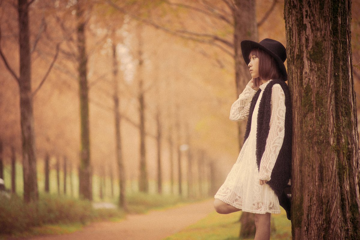 まちゃる Photographer 写真の先生 Ar Twitter 今年ももうすぐ黄金の道が帰ってくる 金沢市 太陽が丘メタセコイア並木 金沢 石川県 モデル ポートレート 写真好きな人と繋がりたい 写真撮ってる人と繋がりたい 太陽が丘 メタセコイア並木 メタセコイア