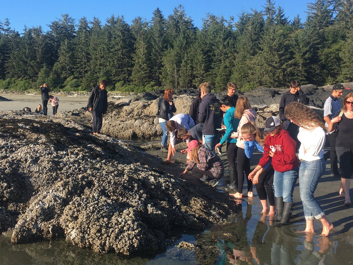 miriam_bride's tweet photo. Sea to Sky Online students studying West Coast intertidal zone for Environmental Science 11 with SD48. https://t.co/1WA8tVNOuQ