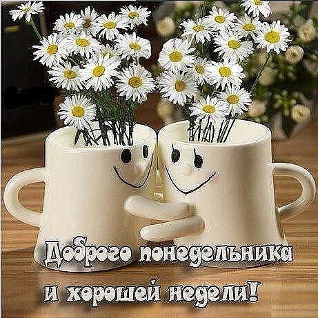 mysochilife's tweet image. Всем, #доброеутра, хорошего настроения...!
#Сочи #Сочилайф
sochi.life
instagram.com/_sochi.life_/