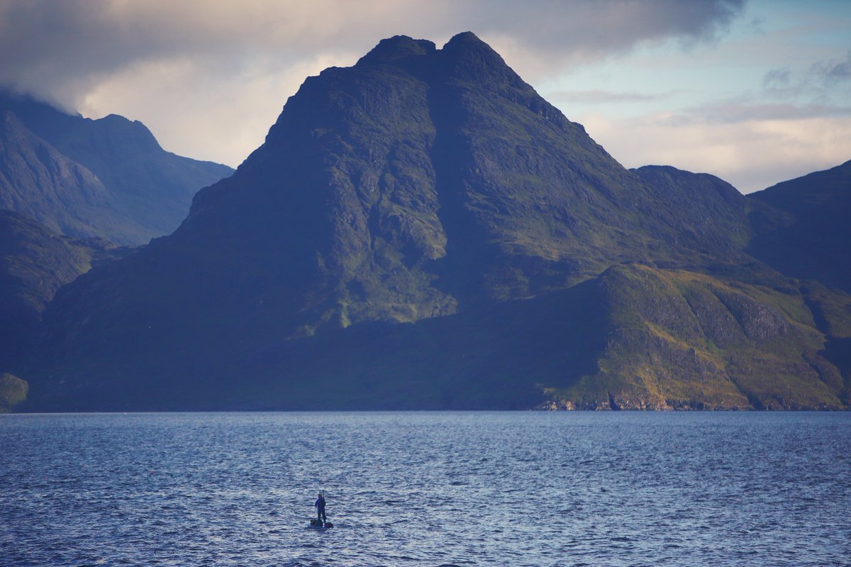 Cal Major tweet media