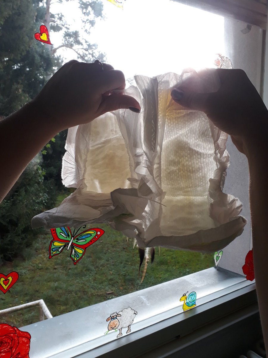 DeathKidSkinner's tweet photo. #Schokiert welche ist die @Pampers und welche die von #dm_BabyLove? Und dafür zahlt man mehr als das doppelte. Ne Frechheit https://t.co/hxVRHuiujr