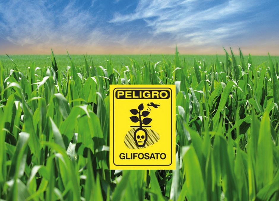 ecologismo_urg's tweet photo. 🗞"#Glifosato: el polémico herbicida de Monsanto". No te pierdas a @juanfecarrasco hoy en nuestro blog 👇
https://t.co/6MgS4TLWWF https://t.co/n7cqjcv8uP