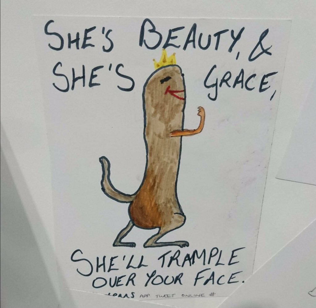 Steven Le Comber tweet media