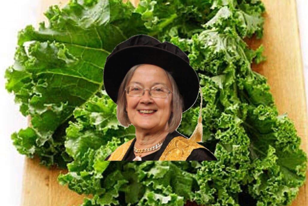 SGMacGobhainn's tweet photo. You've heard of elf on the shelf,
Now get ready for https://t.co/dJXkwi9HQV